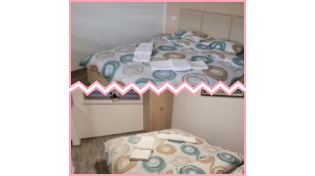 Apartmani Apolon Vrdnik Exterior foto